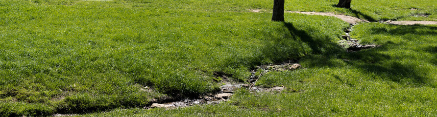 A creek with no water