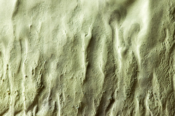 Background, texture green wall