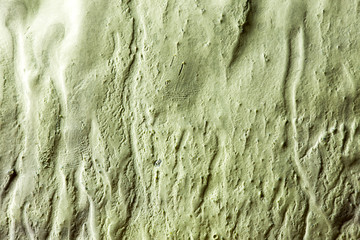 Background, texture green wall