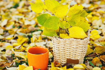 bouquet of yellow leaves in the beige basket and orange cup with tea on fallen leaves background. autumn mood beautiful day. Golden autumn in still life. Bright Fall image.  