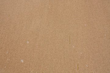 Sandy beach pattern closeup, Summer seacoast background.