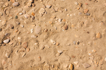 Sandy beach pattern closeup, Summer seacoast background.