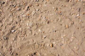 Sandy beach pattern closeup, Summer seacoast background.
