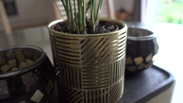 Brass plant pot and 2 mosaic pots