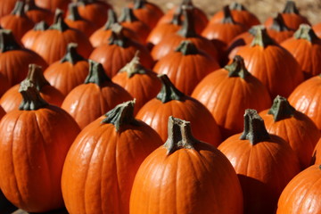 Stacked orange pumpkins create interesting texture
