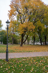 gray day in the colorful autumn park