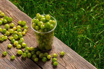 ggooseberries in plastic glasses on a wooden table
