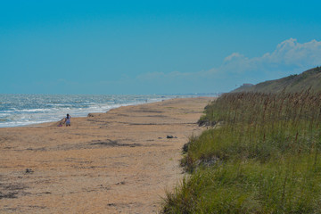 North Beach Guana River Preserve in St Johns County, Atlantic Ocean, Florida.
