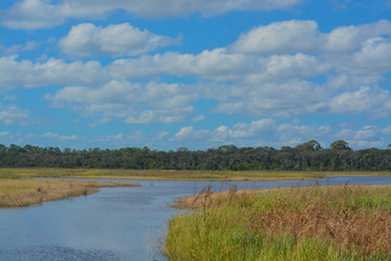 Ghana River wildlife management area in St Johns County Florida