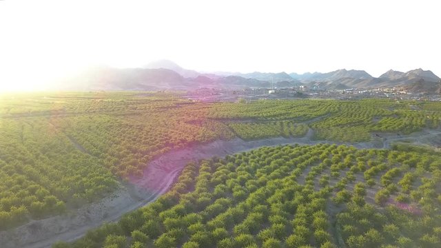 Flying above the farms in the spring. Breathe clean and fresh air.Watch the timeless green.