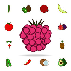 currant colored icon. fruit icons universal set for web and mobile