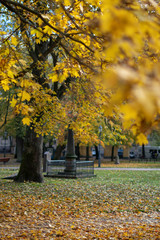 Lamppost in the autumn park