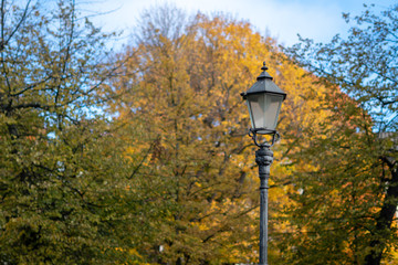 Lamppost in the autumn park
