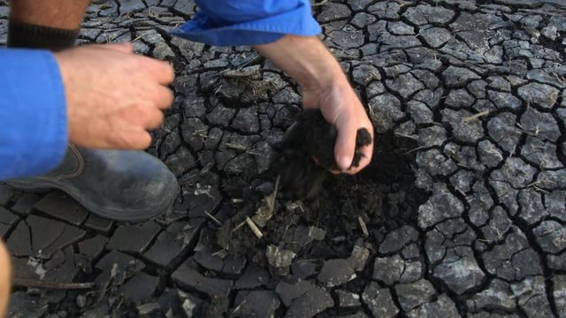 Farmer checking the quality of the soild which has plate pattern from drying from mud