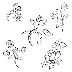 stylized flowers on the stems with leaves in black lines on a white background. SET