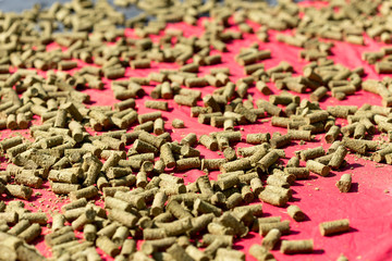 Granules from grass