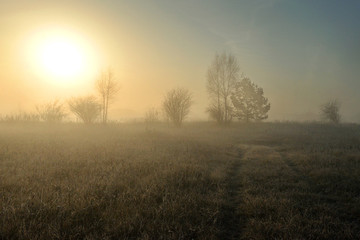 Fototapeta na wymiar Beautiful landscape with fog at sunrise. Forest with fog. Autumn morning