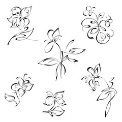 stylized flowers on the stems with leaves in black lines on a white background. SET