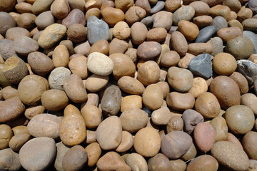 たくさんの丸小石