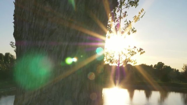 Sun burst behind trees next to lake