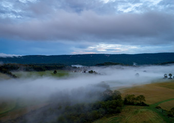 Field in the Mist