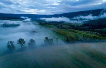 Field in the Mist