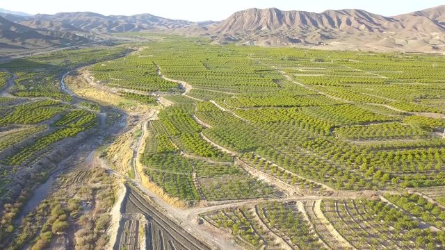 Flying above the farms in the spring.