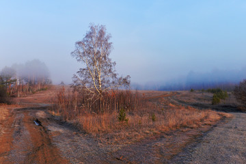 Beautiful landscape with fog at sunrise. Landscape with birch. Autumn forest