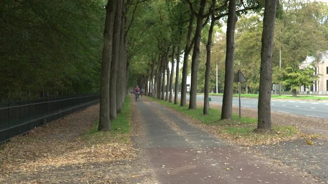 4K - bicycle path with trees in Baarn, the Netherlands