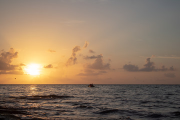 Kayak grupal al amanecer en Playa del Carmen, México