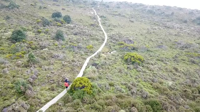 A drone shot hovering of the mountains trails in Tasmania.
