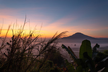 Fog and sun Morning after mountain.