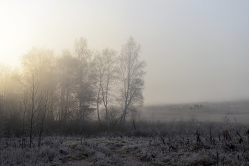 Obraz na płótnie Canvas Beautiful landscape with fog at sunrise. Forest with fog. Autumn morning
