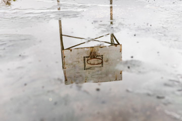 rain soaked basketball court