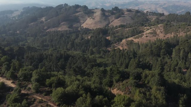 Berkeley hills aerial  Northern California
