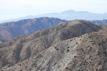 Mountain desert landscape in Joshua Tree National Park