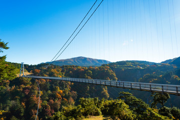 秋の九重夢大吊橋