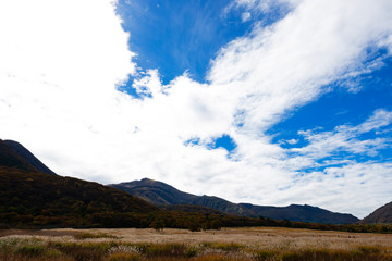 秋の長者原タデ湿原