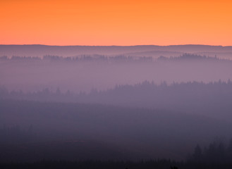 Colorful image of a pine tree forest in haze from a fire nearby at sunrise