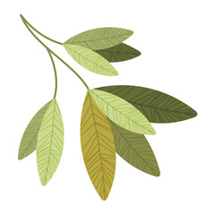 Naklejka na ściany i meble branch with leafs isolated icon