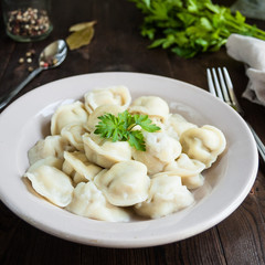 dumplings with meat 