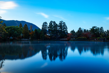 Fototapeta premium 金鱗湖