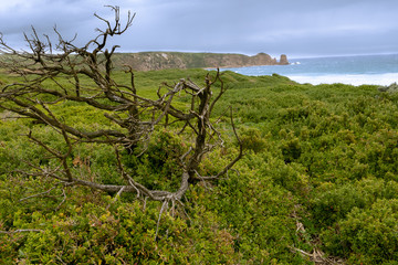 Nature and landscape view at a seashore