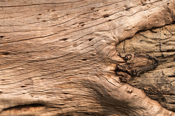 Fototapeta na wymiar old brown wood texture with knot