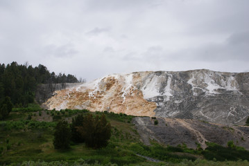 Fototapeta na wymiar White, tan, and gray terraces with trees on the left and foreground at Mammoth Hot Springs in Yellowstone National Park