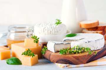 Various cheese on a board, milk, cottage cheese and honey