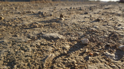 Rocks on the sand