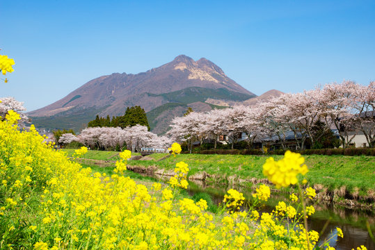 春の由布院