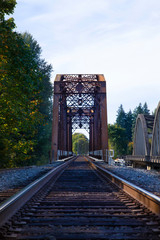 Picturesque distant forward view of iron and wood railroad trestle train tracks and bridge canopy, with green lush trees and vegetation, blue sky with wispy white clouds, daytime - Oregon USA