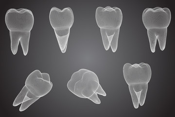 vector set of 3d teeth for dental medicine.